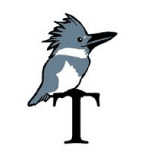 T. Kingfisher
