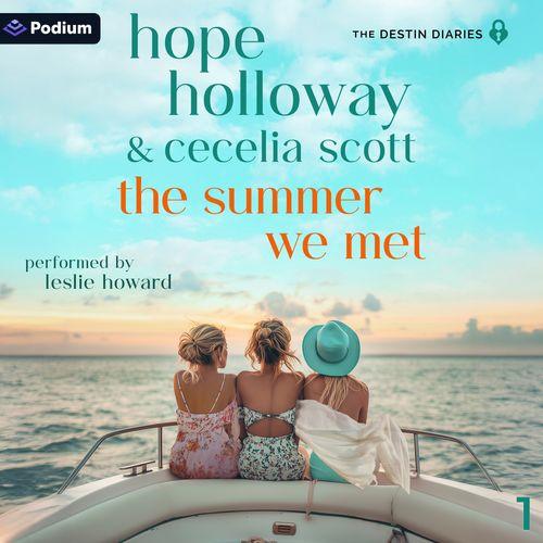 The Summer We Met
