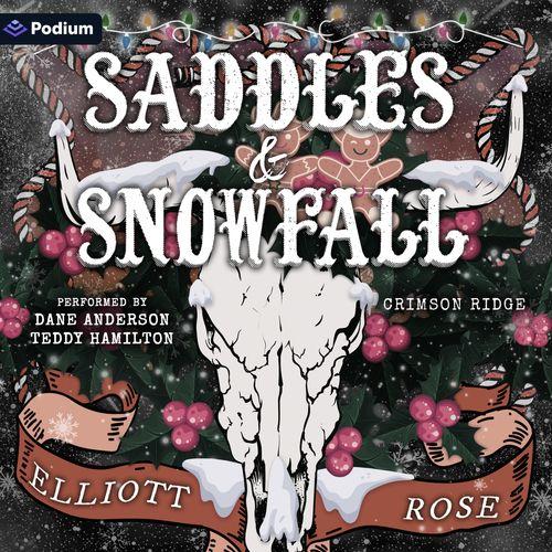 Saddles and Snowfall