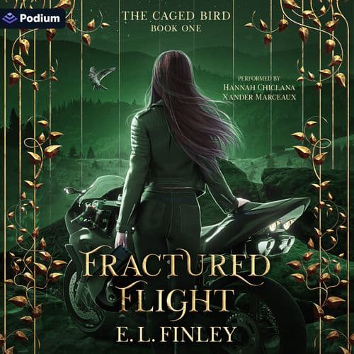 seriesBookBg