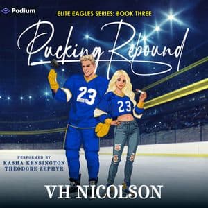 Pucking Rebound